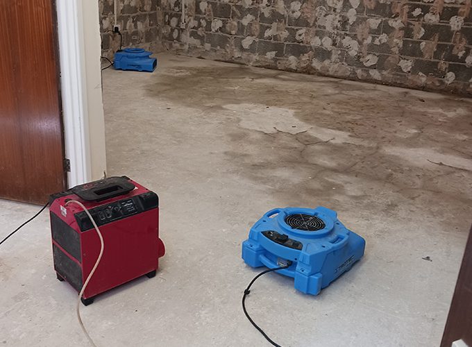 Why Choose Us for Mould Remediation?